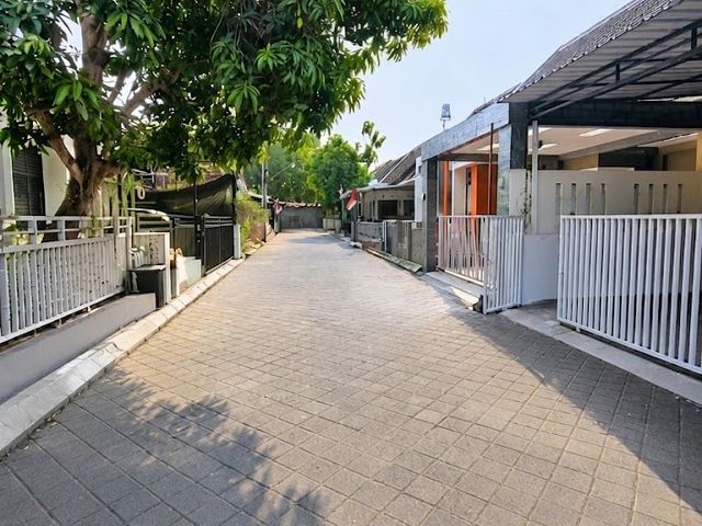 place photo 25
