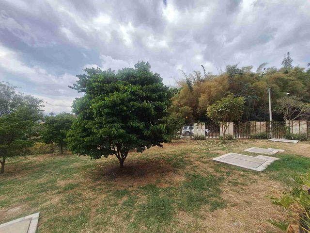 place photo 38