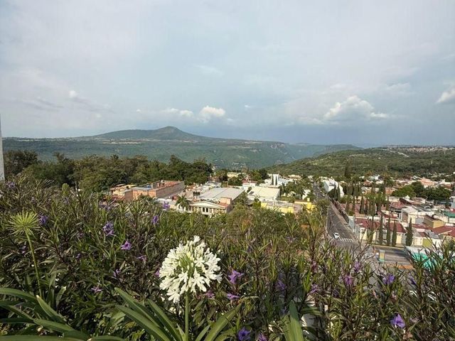 place photo 27