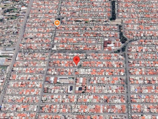 place photo 6