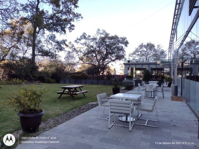place photo 31