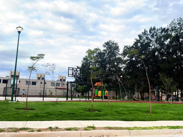 place photo 36