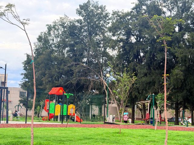 place photo 37