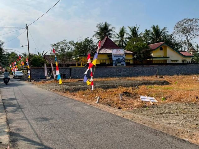 place photo 6