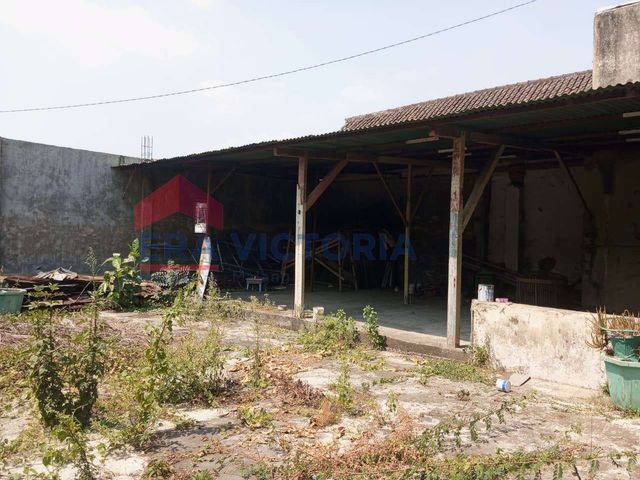 place photo 13