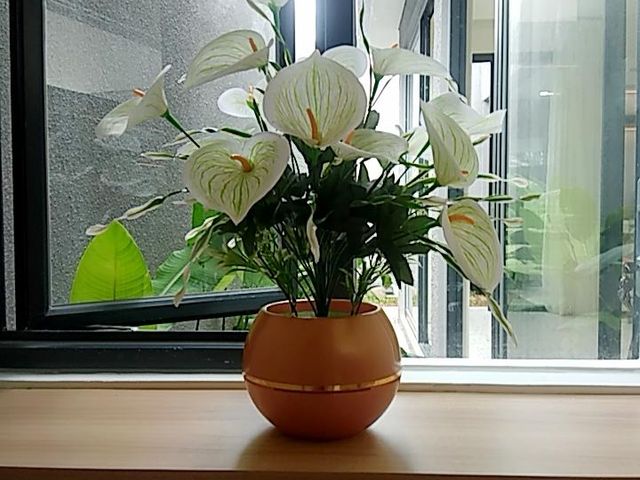 place photo 16