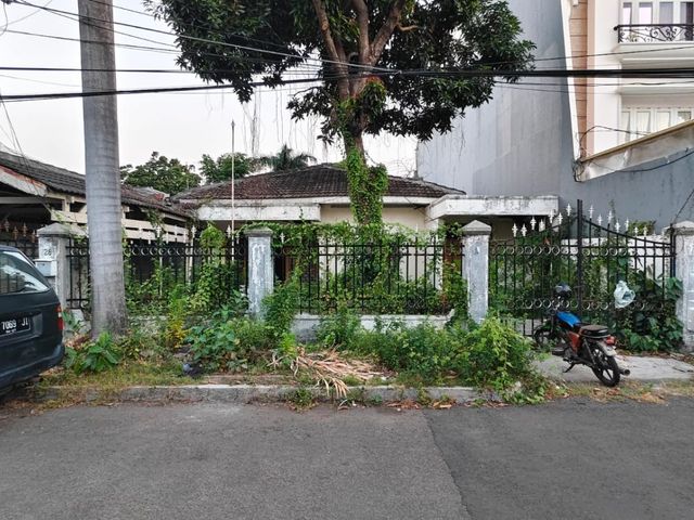 place photo 1