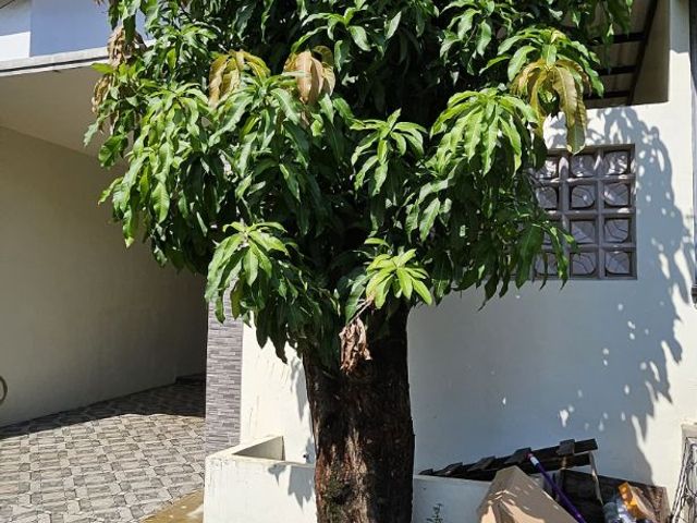 place photo 59