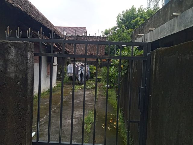 place photo 11