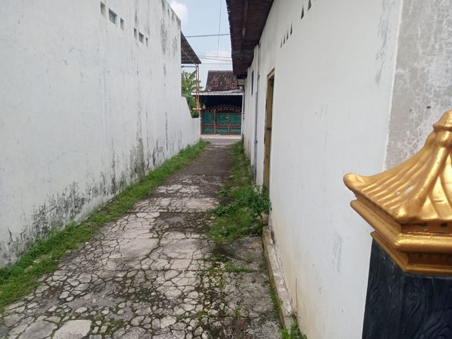 place photo 13