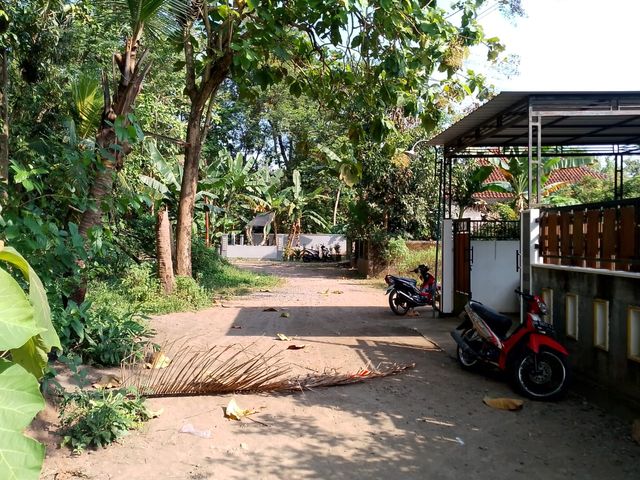 place photo 3