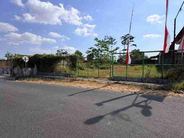 place photo 12