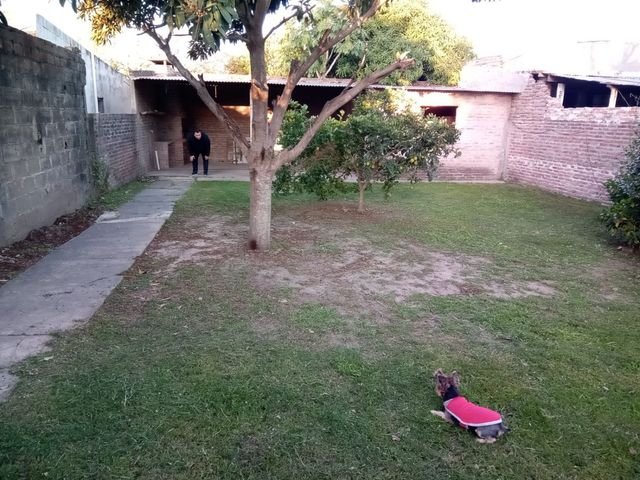 place photo 15