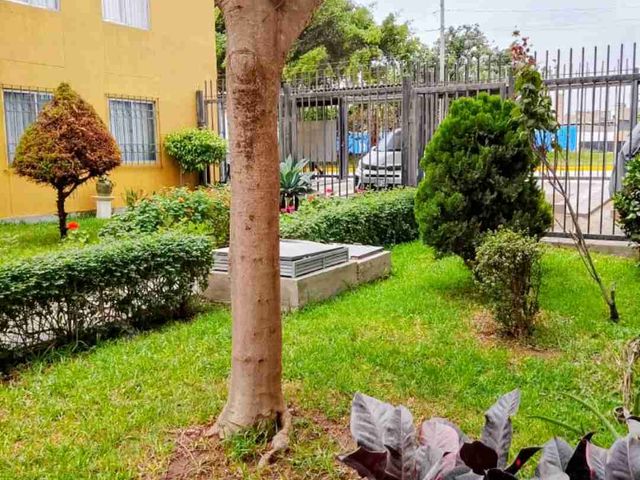 place photo 18