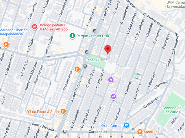 place photo 6
