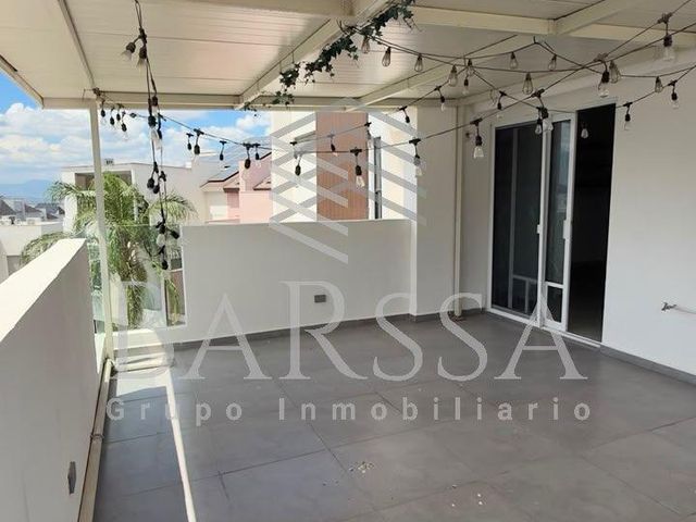 place photo 27
