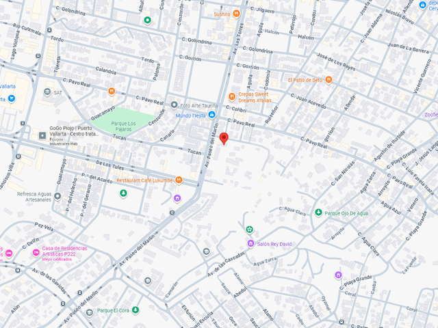 place photo 7