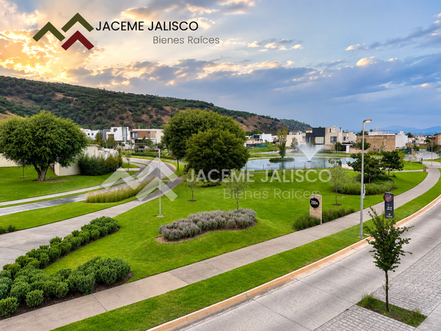 place photo 37