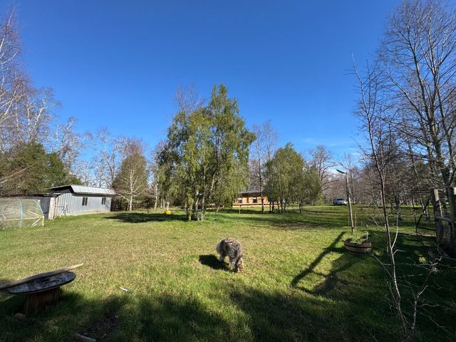 place photo 37