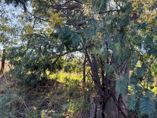 place photo 44