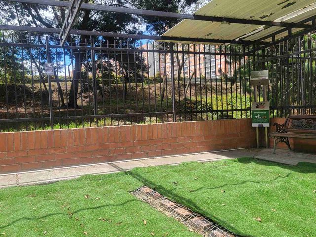 place photo 46