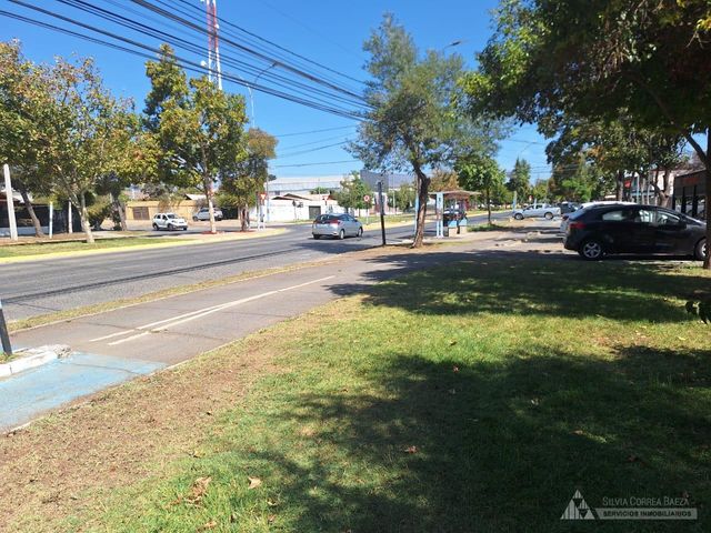 place photo 17