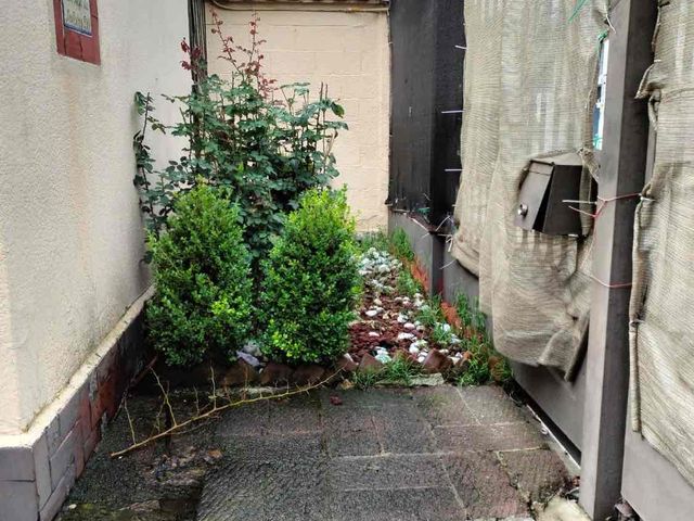 place photo 11