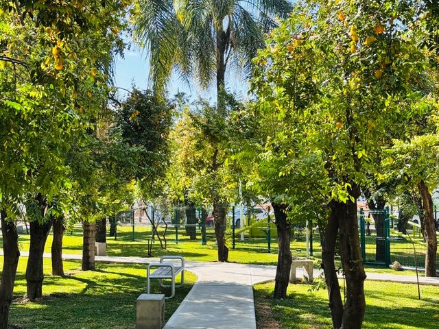 place photo 18