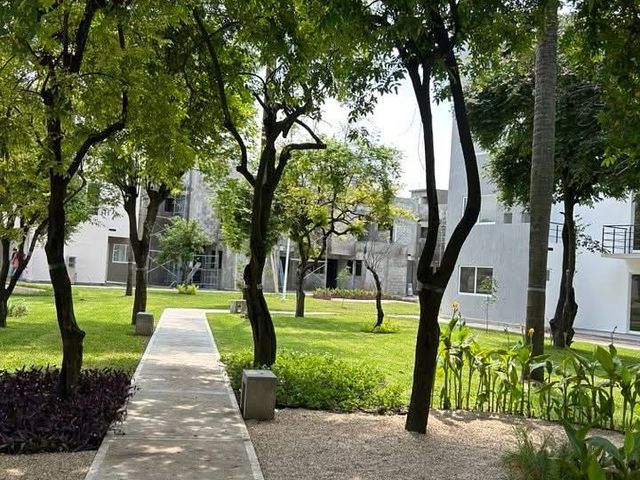 place photo 39