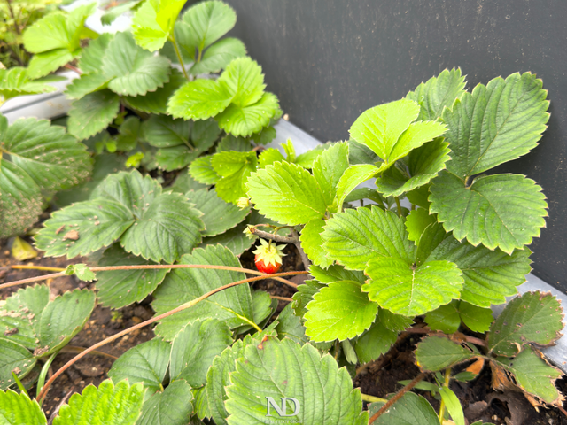 place photo 45