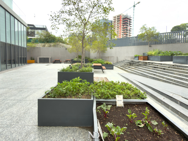 place photo 43