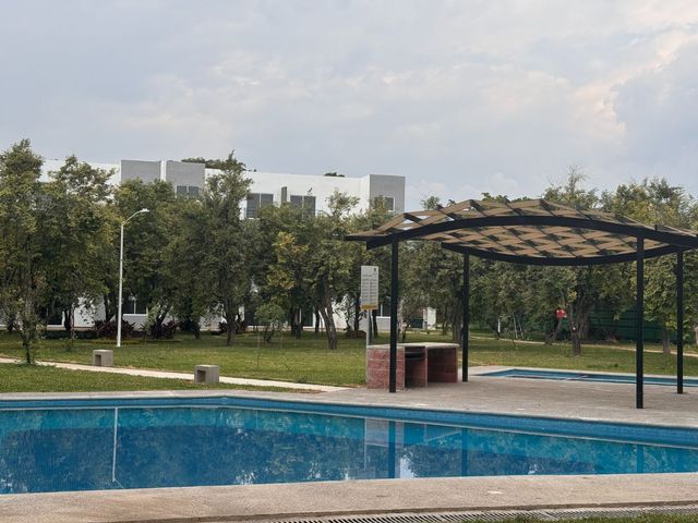 place photo 44