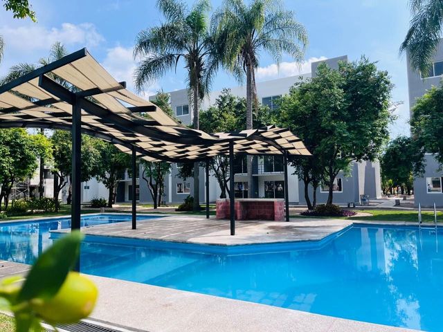 place photo 49