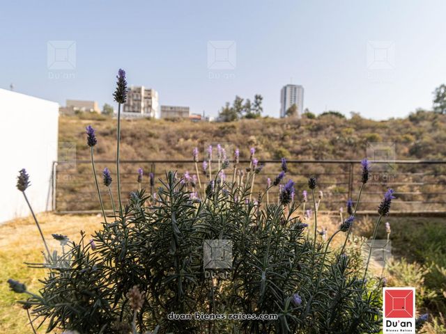 place photo 110