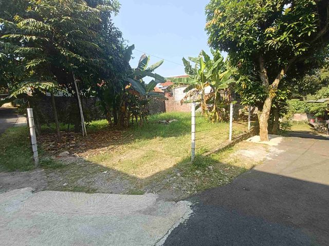place photo 11