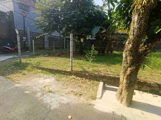place photo 13