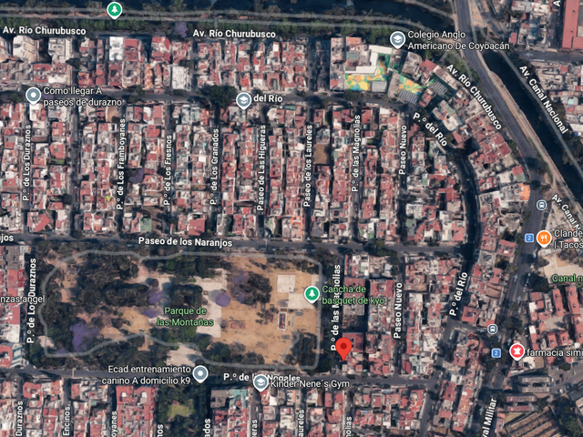 place photo 10