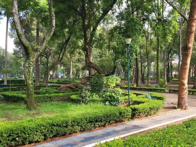 place photo 24