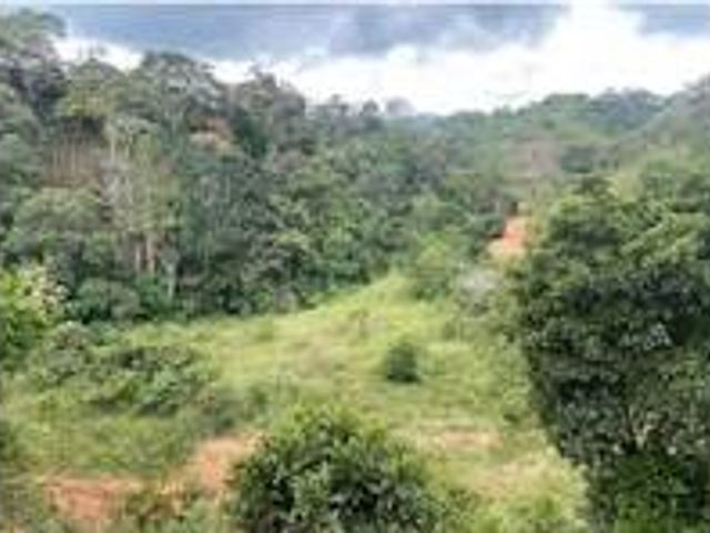 Venta Finca para Agrícola y Ganadería Alejandría Antioquia
