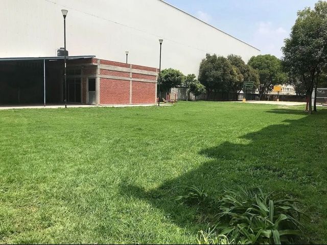 place photo 17