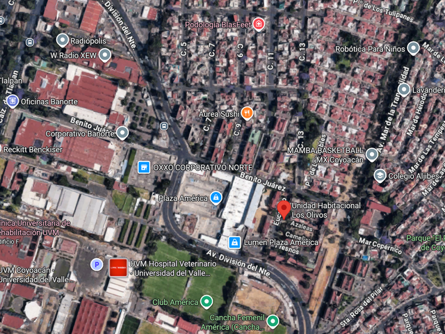 place photo 22