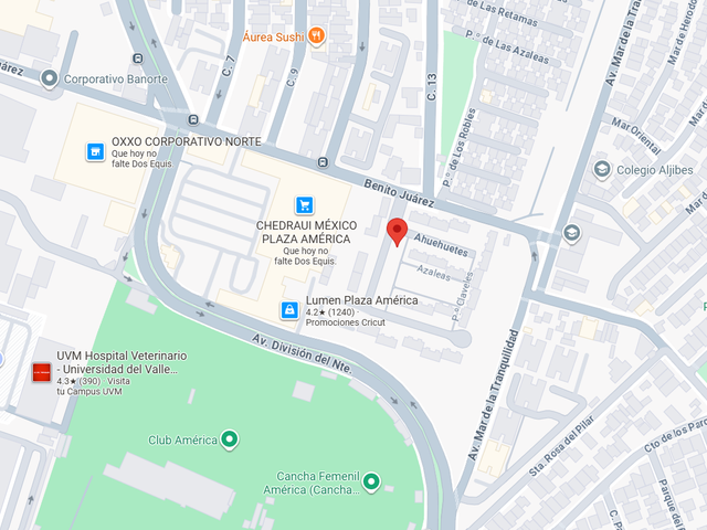 place photo 20