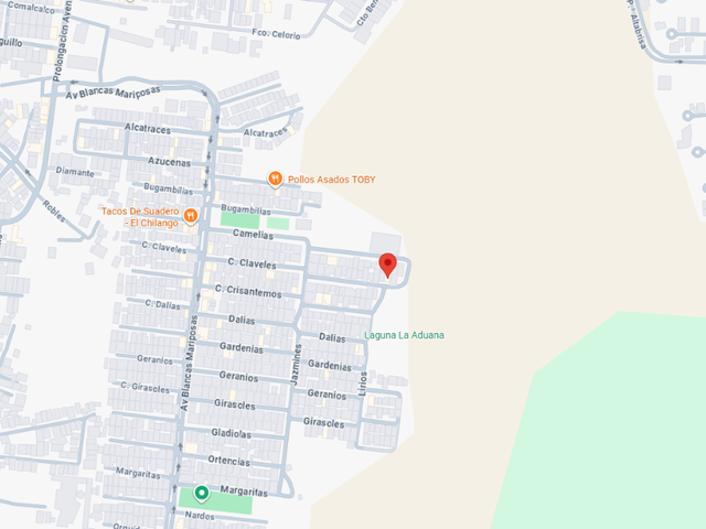 place photo 11
