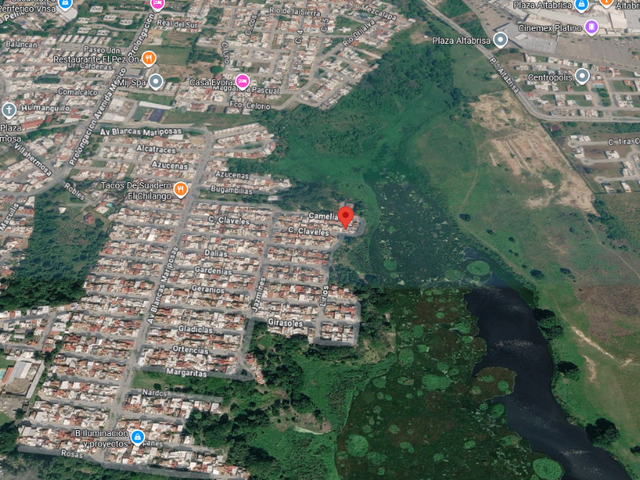 place photo 6
