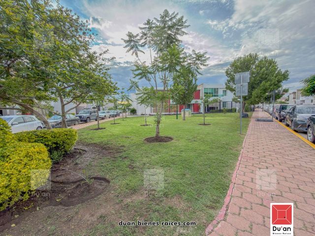 place photo 81