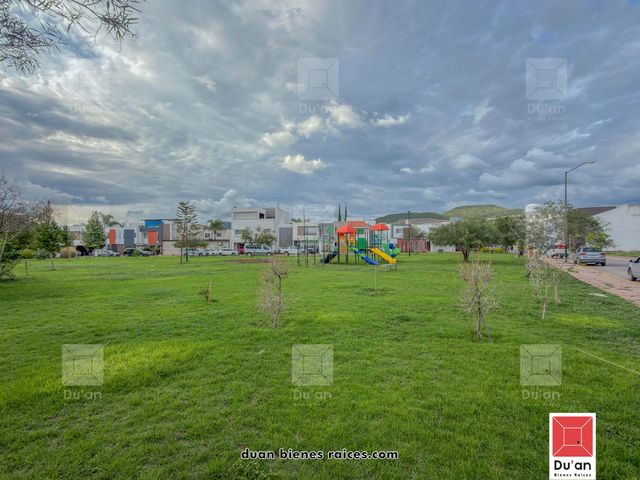 place photo 83