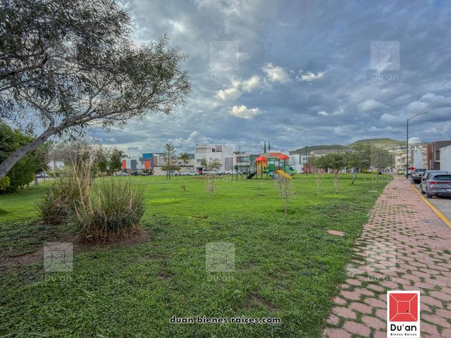 place photo 84