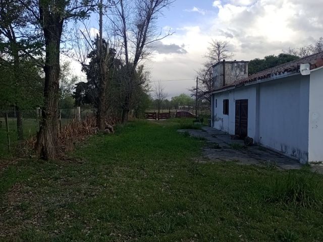 place photo 19