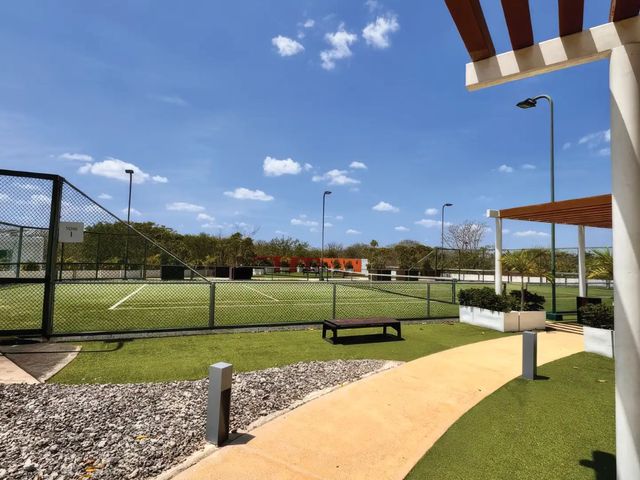 place photo 17