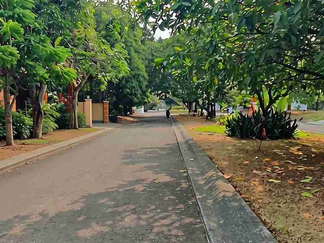 place photo 17